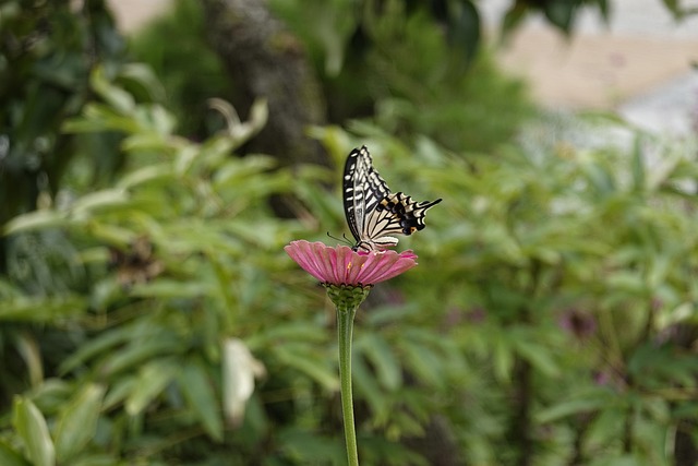 交易细节分